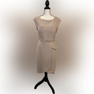 Pink Sheath Dress- Scandal Limited Edition